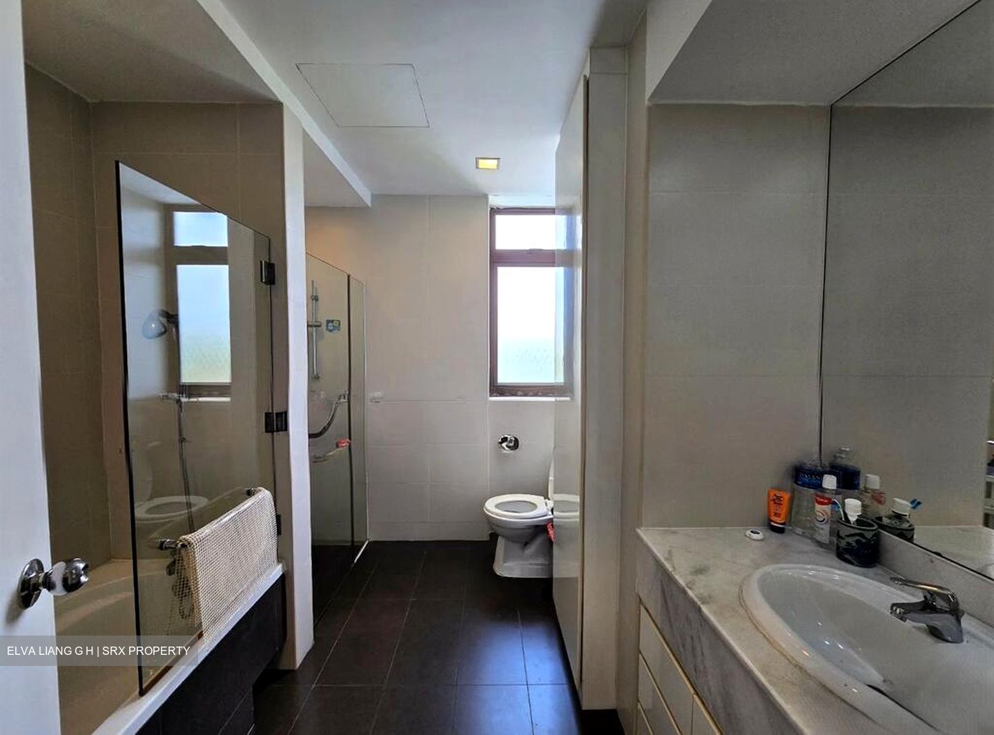 Astrid Meadows (D10), Condominium #498576661